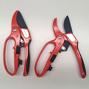 Secateurs | Clean-Cut Pro