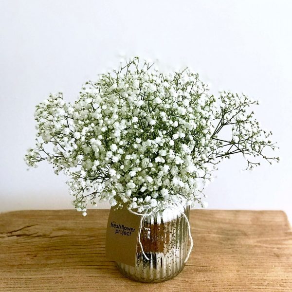 The-Fresh-Flower-Project_Cloud The-Fresh-Flower-Project_Cloud